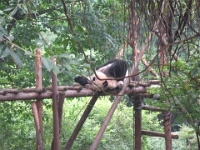 2009 China 1343